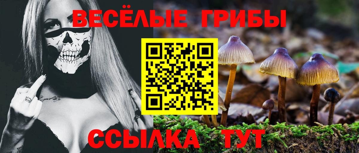 Советская Гавань  Галлюциногенные грибы мицелий  Вход с VPN 